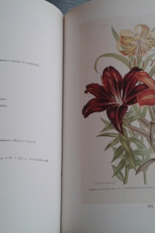 Historia Natural. Catalogo Ilustrado siglos XVIII y XIX