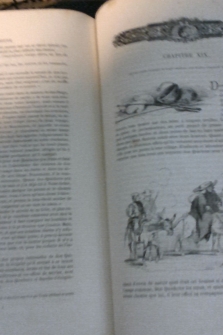 L'Ingénieux hidalgo Don Quichotte de la Manche,  Miguel Cervantès Saavedra, traduit par Louis Viardot