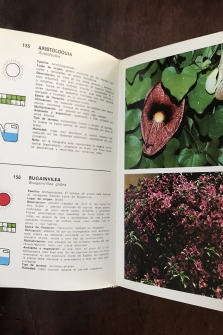 Guía de plantas y flores