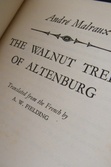 The walnut trees of Altenburg