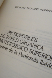 Microfósiles de pared orgánica del proterozoico superior (Región central de la Península Ibérica