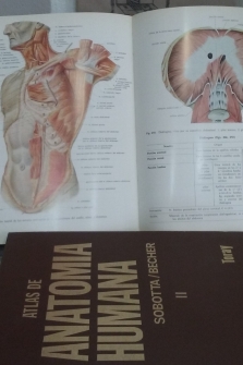 Atlas de anatomia humana, 3 tomos